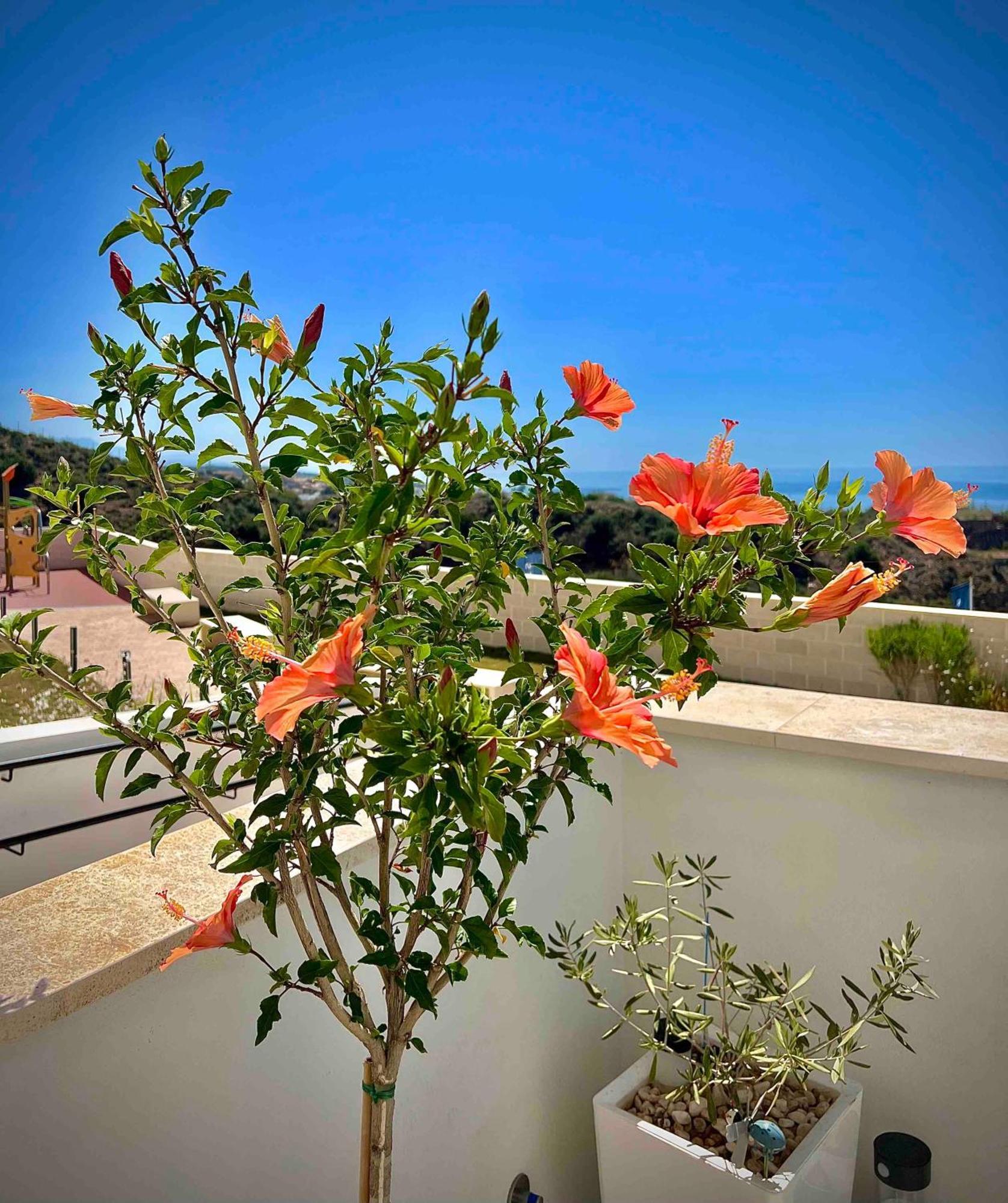 Rincon Idilia Apartment Rincon de la Victoria Bagian luar foto